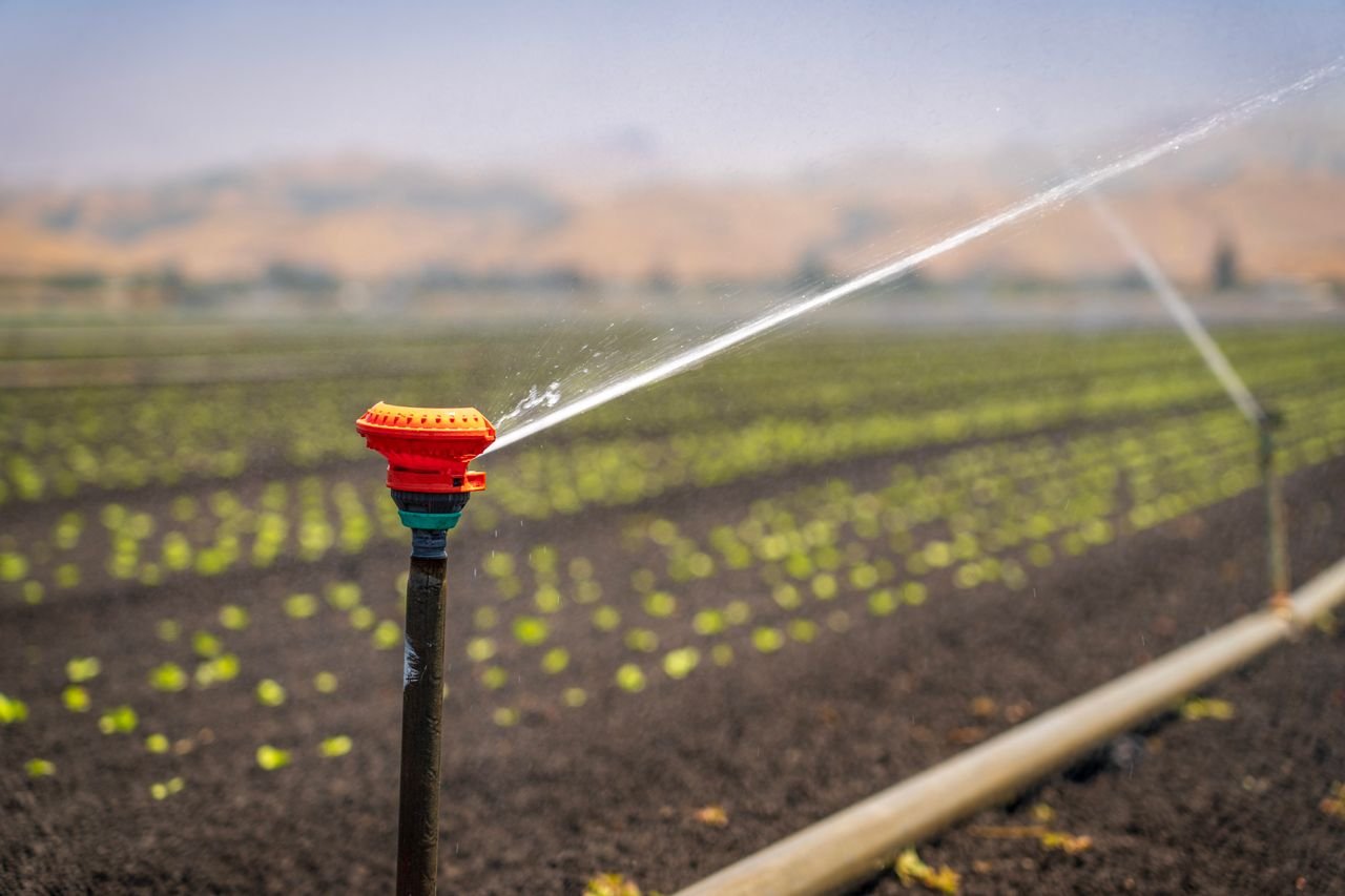 Mastering the First Impression: Your intriguing post title goes here A sprinkler irrigating a green crop field in a rural landscape under a clear blue sky.