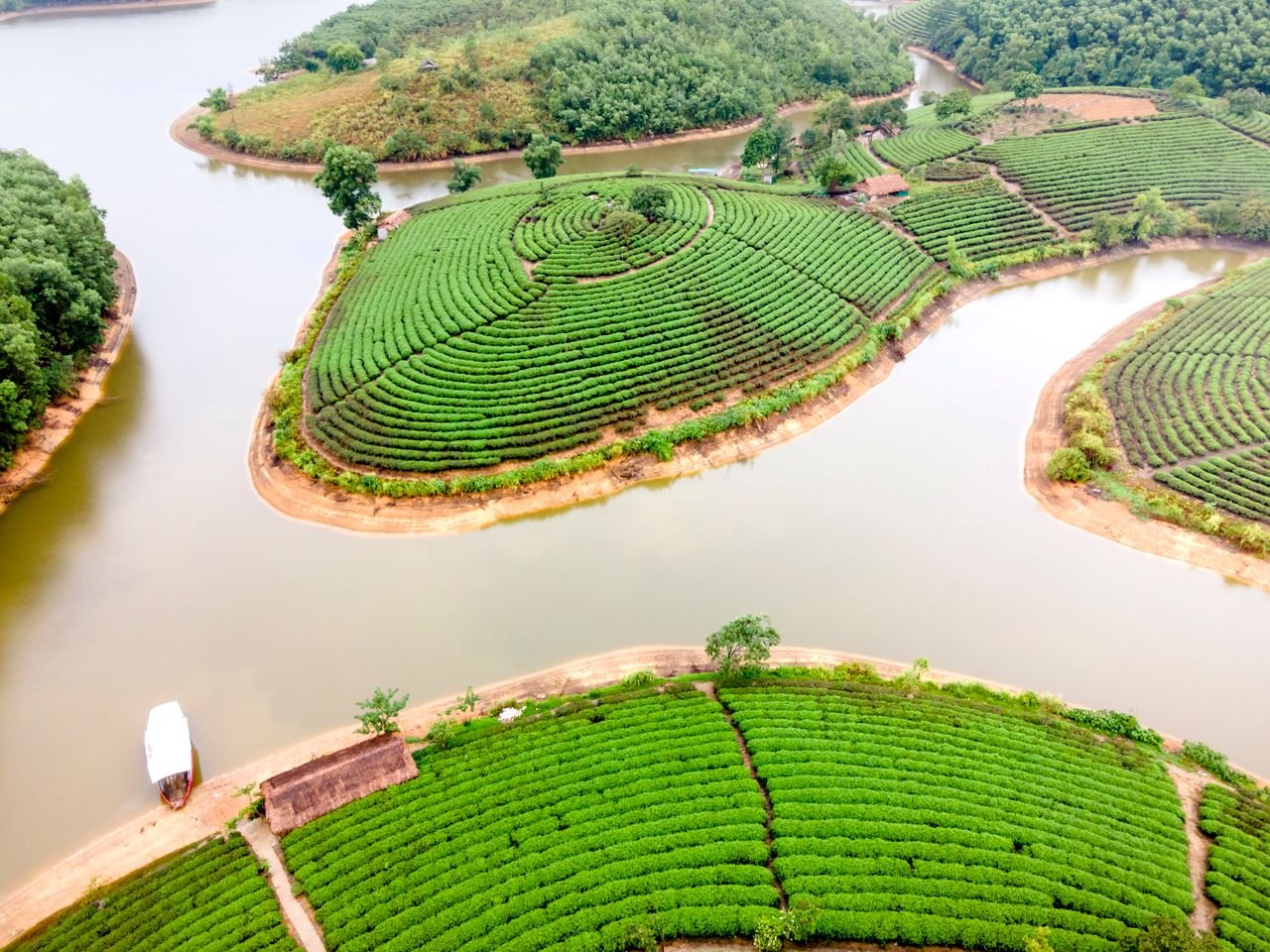 About A drone captures a scenic aerial view of a sprawling tea plantation bordered by a river.