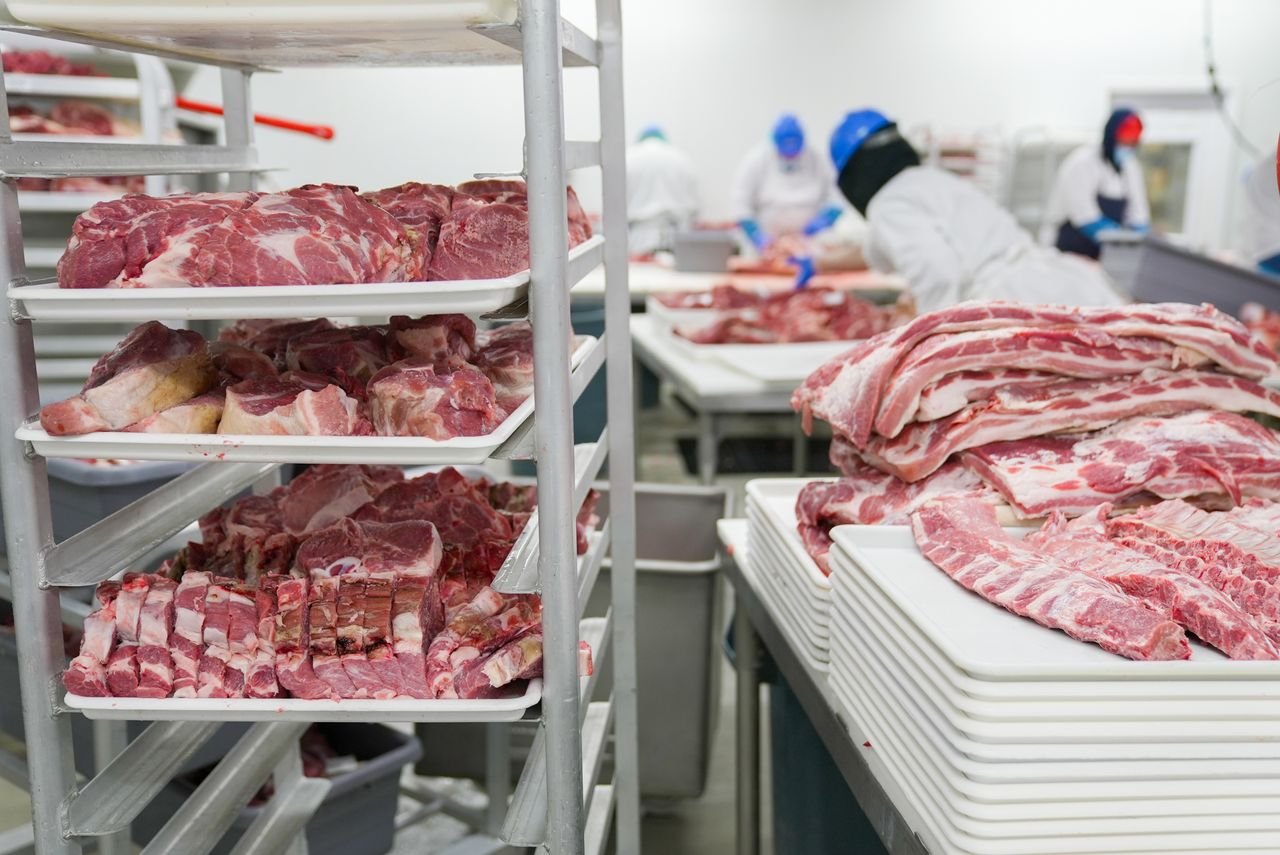 The Art of Drawing Readers In: Your attractive post title goes here A meat processing facility with workers handling meat cuts on trays, demonstrating industrial food production.