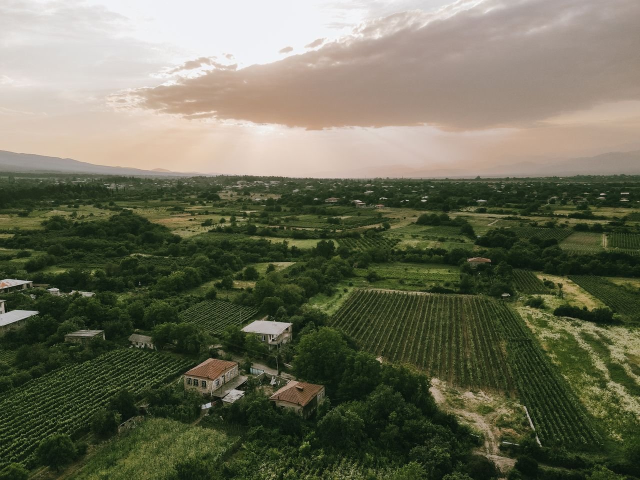 Crafting Captivating Headlines: Your awesome post title goes here Aerial view of lush green farmland and vineyards in Kvemo Khodasheni, Kakheti, Georgia.